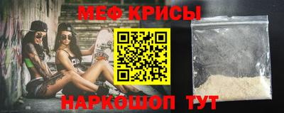 СК Кингисепп