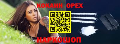 СК Кингисепп
