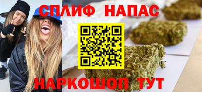 СК Кингисепп