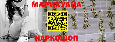 СК Кингисепп