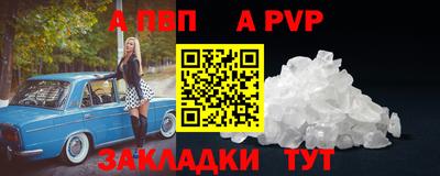 СК Кингисепп