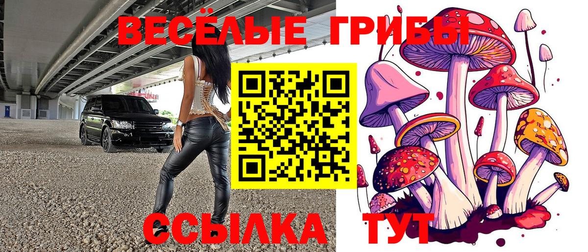 Псилоцибиновые грибы Magic Shrooms Тында