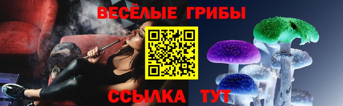 Псилоцибиновые грибы Magic Shrooms  Вход с VPN  Тында 